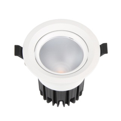 LED down light BCTD289